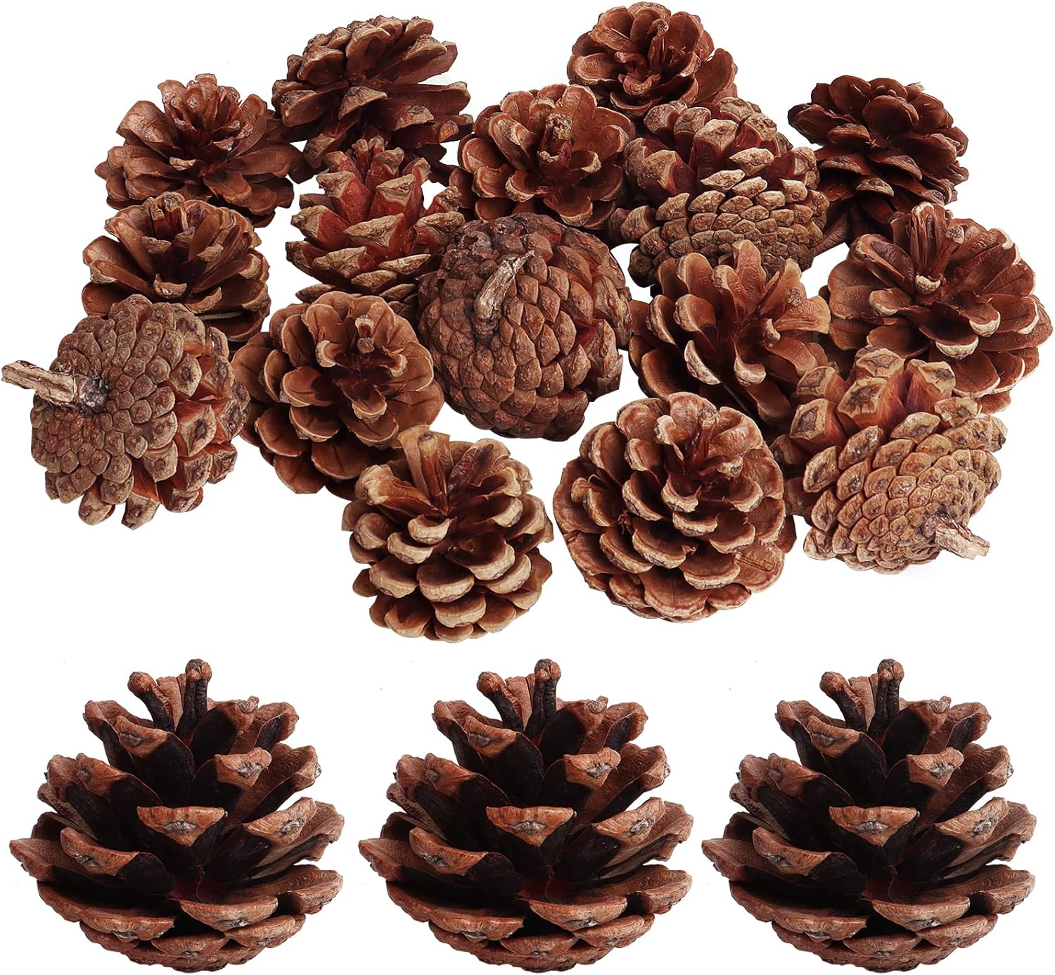 Pine cone hanging - Image 2