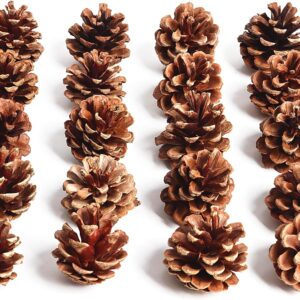 Pine cone hanging