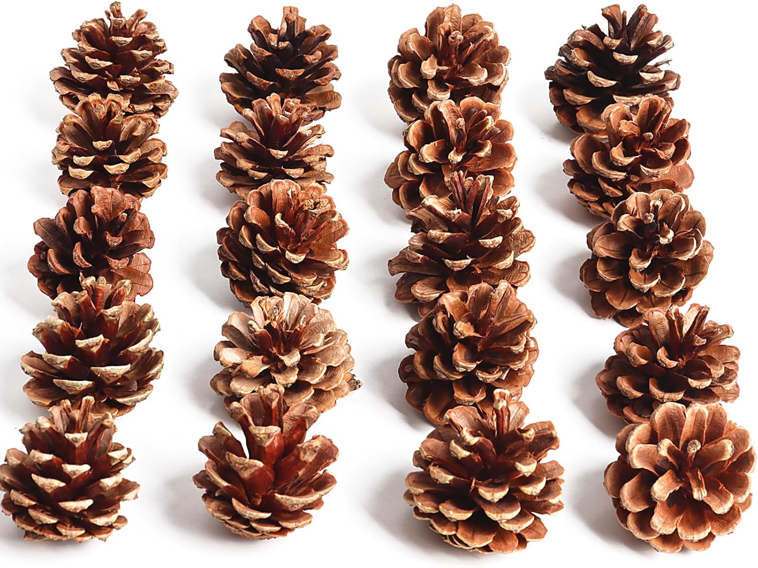 Pine cone hanging